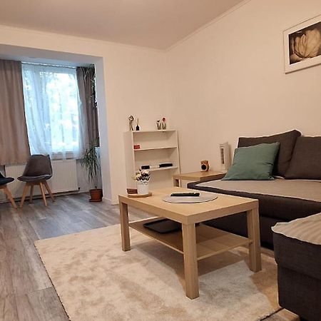 Enci House Apartment Târgu-Mureş 외부 사진
